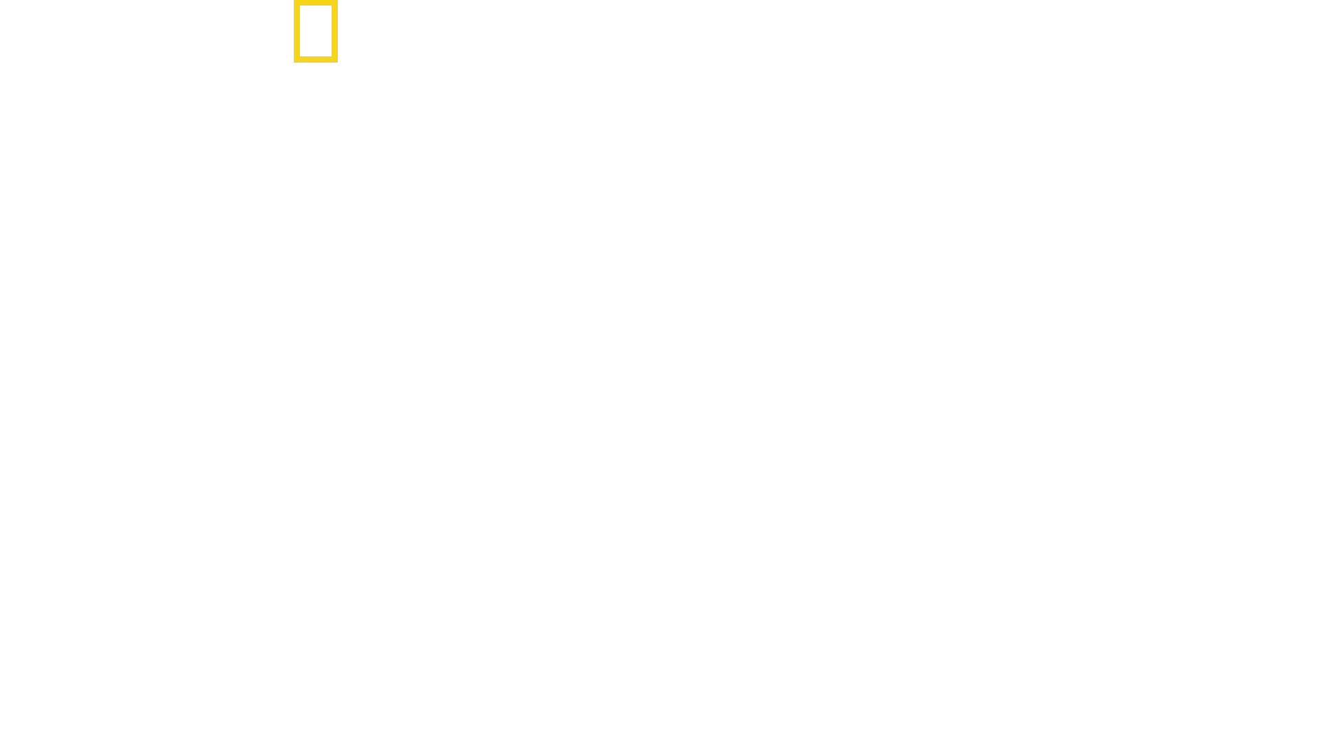 Le ali della seduzione
