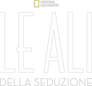 Le ali della seduzione