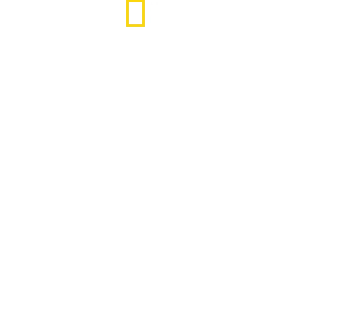 Le ali della seduzione