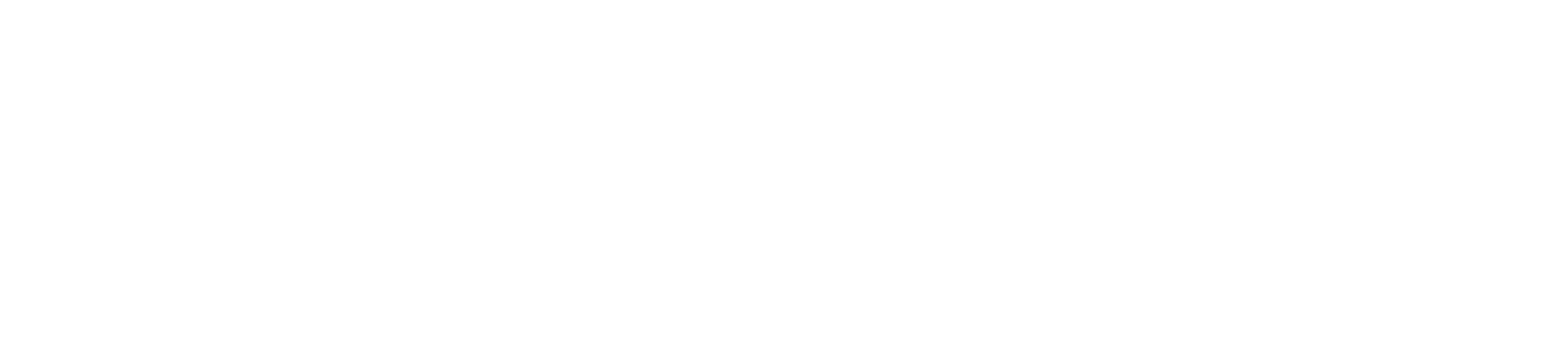 ナショナルパーク犯罪特捜チーム