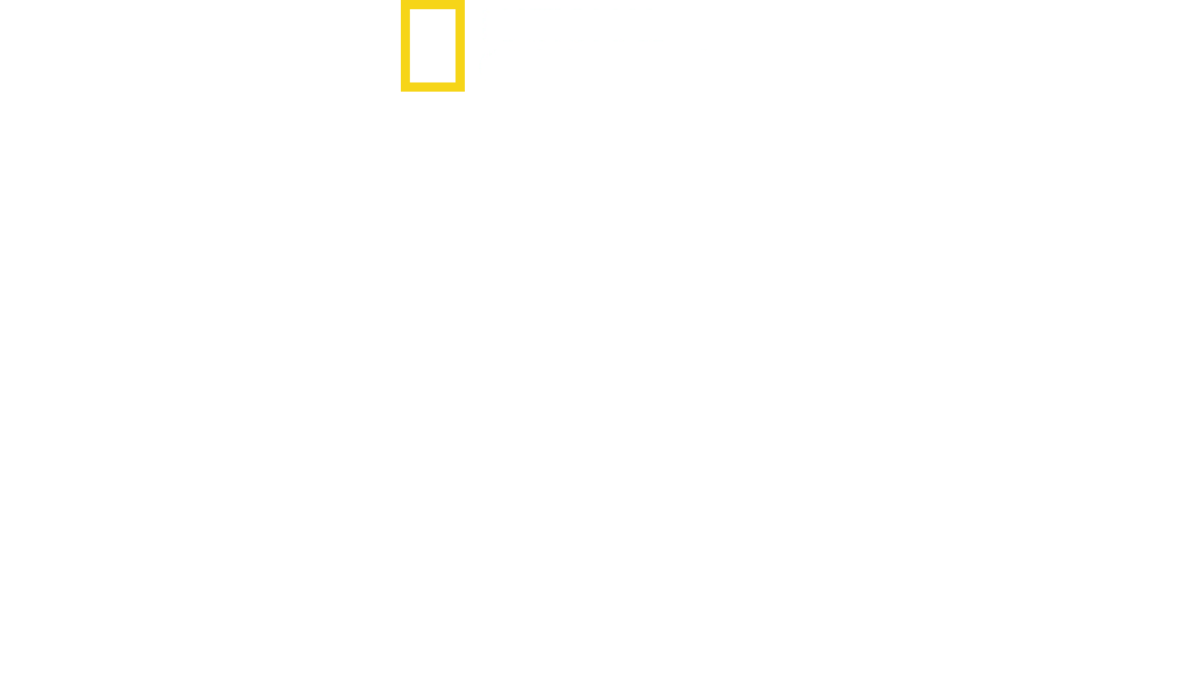 破壊へ導く侵略者たち
