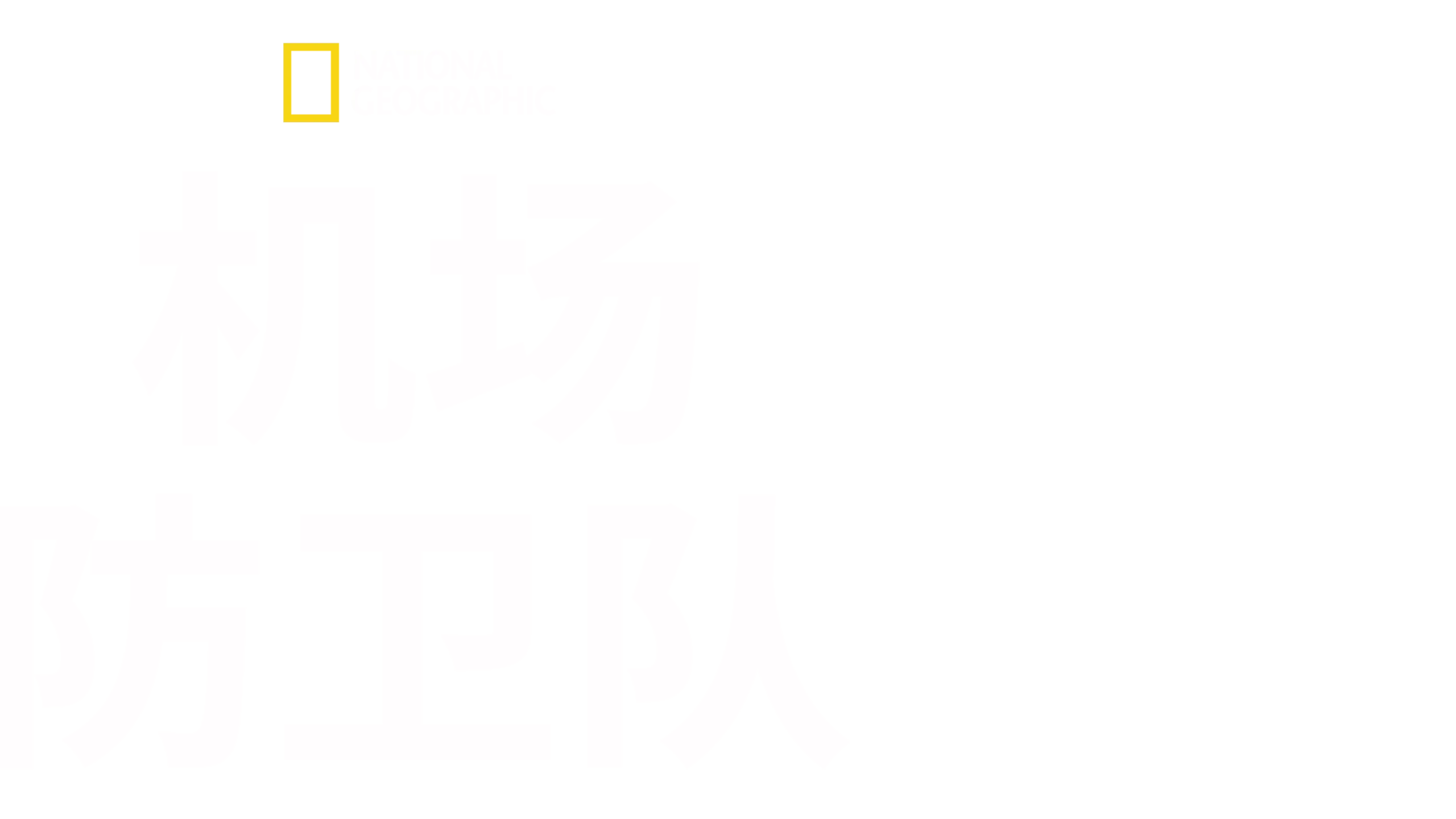 机场防卫队