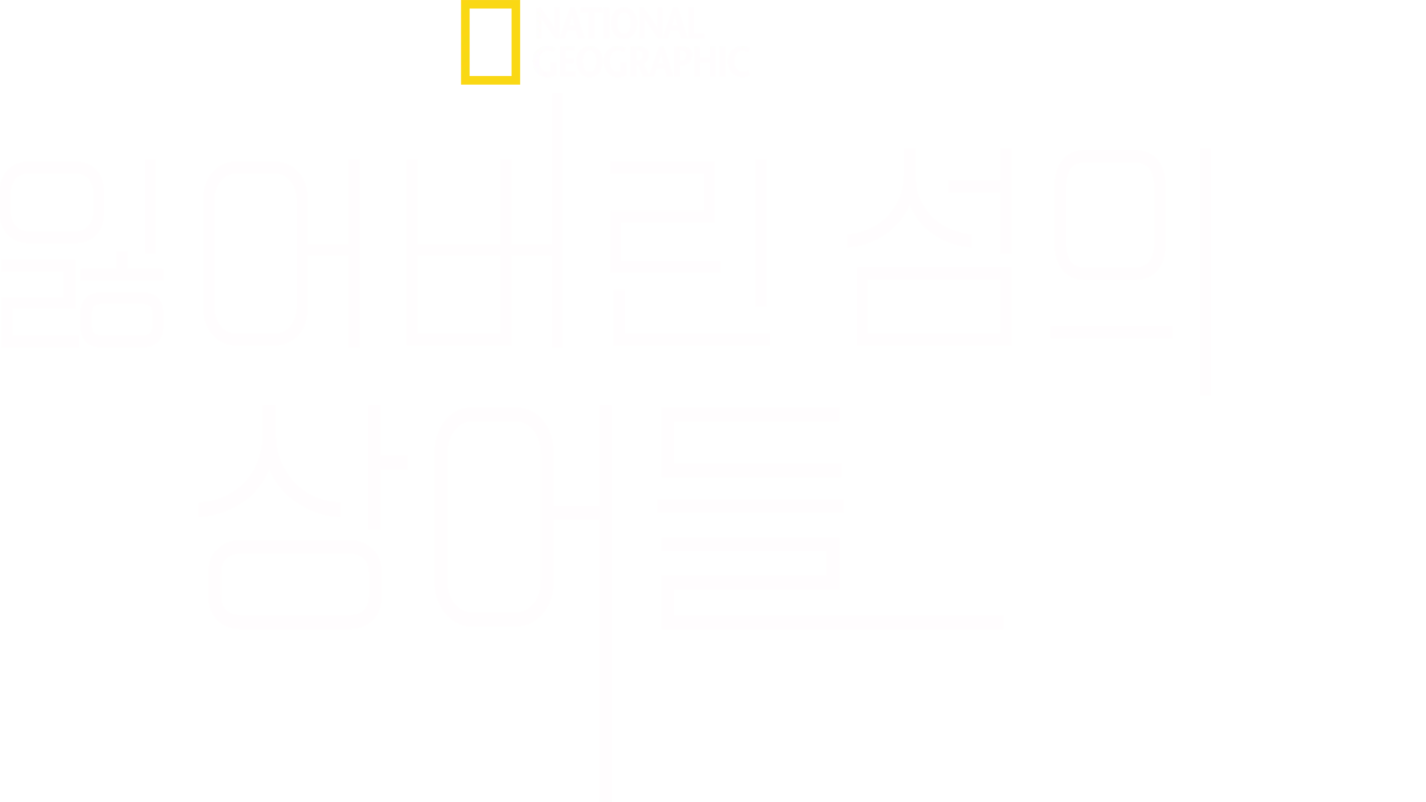 잃어버린 섬의 상어들