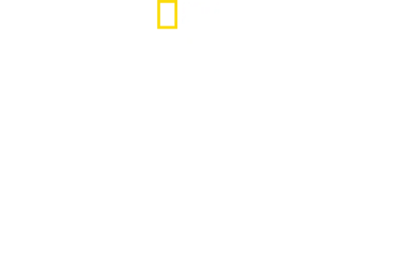 잃어버린 섬의 상어들