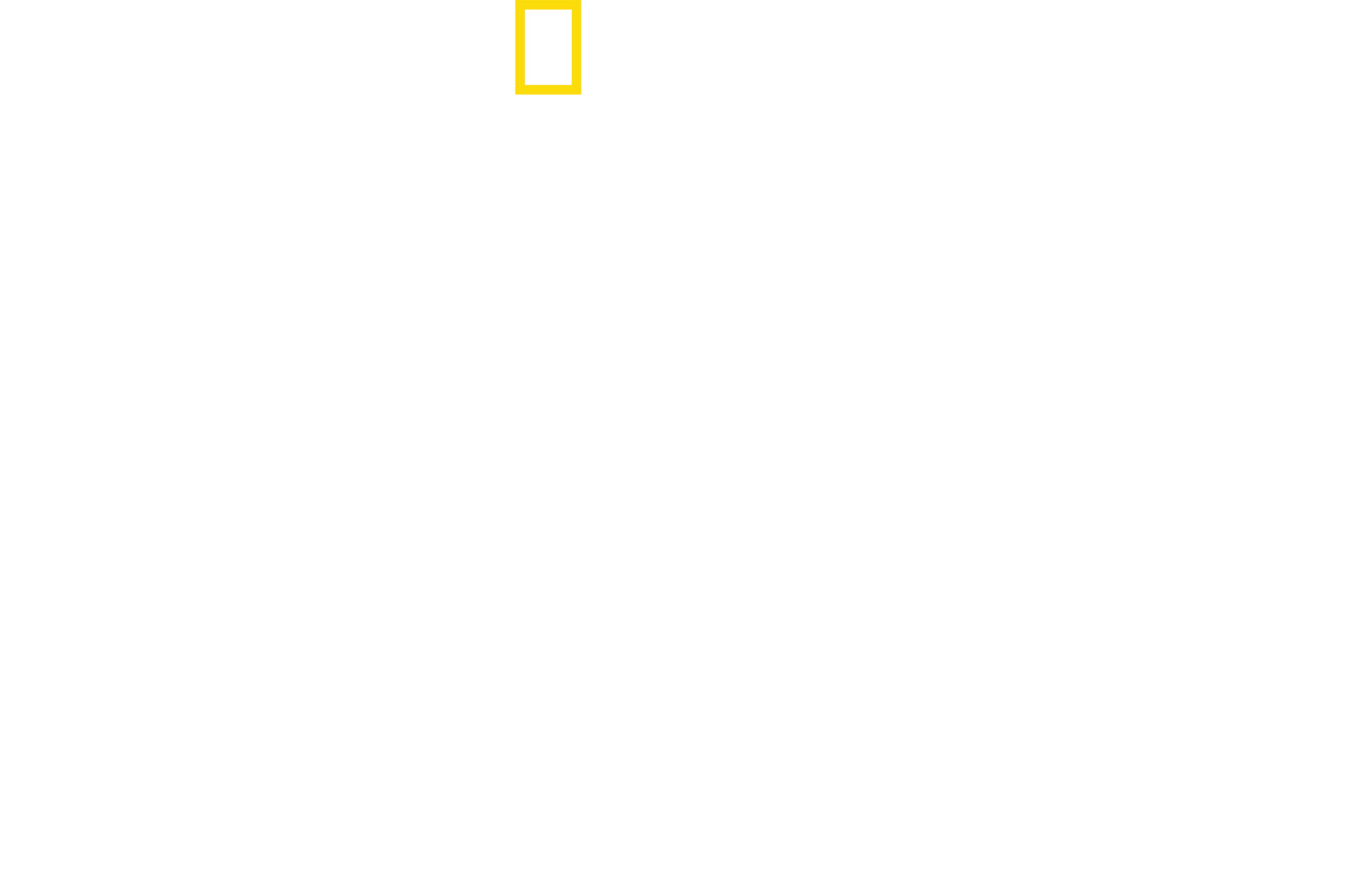 잃어버린 섬의 상어들