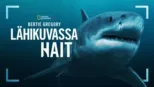 thumbnail - Sharks Up Close with Bertie Gregory