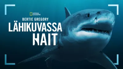 Sharks Up Close with Bertie Gregory