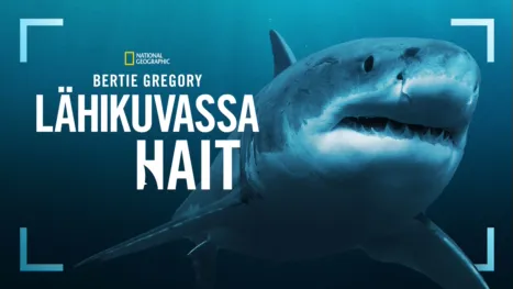 thumbnail - Sharks Up Close with Bertie Gregory
