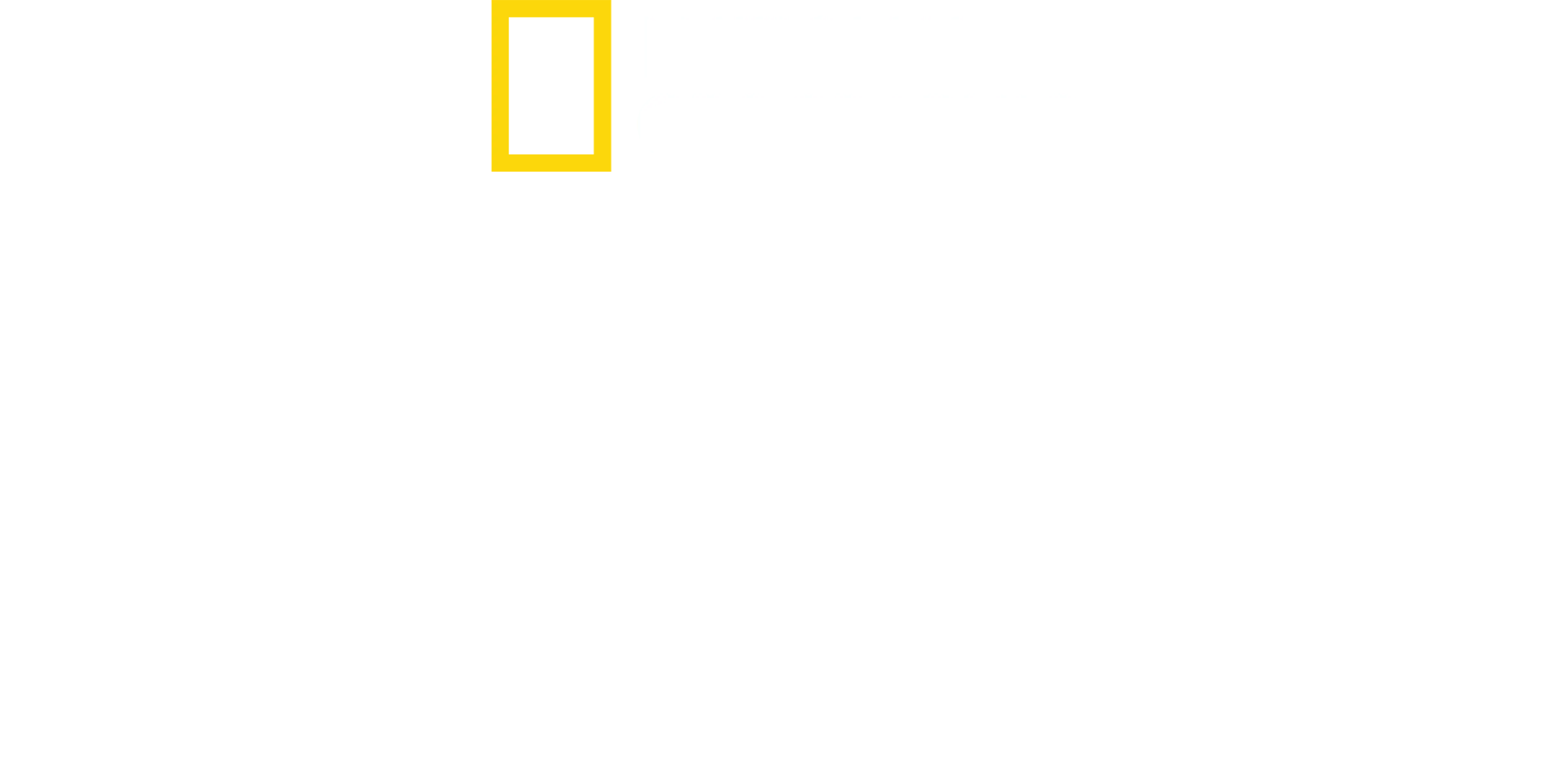 킹덤