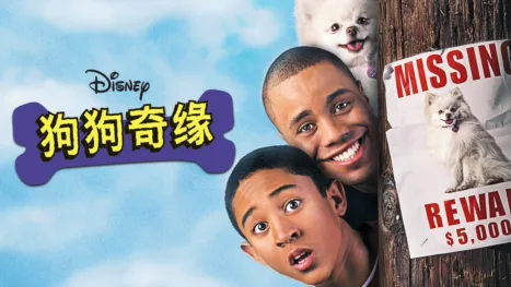 thumbnail - 狗狗奇缘