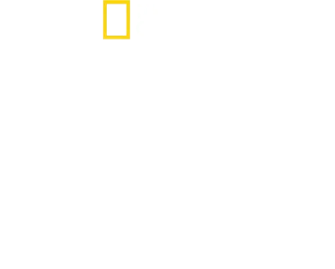 Tucci na Itália
