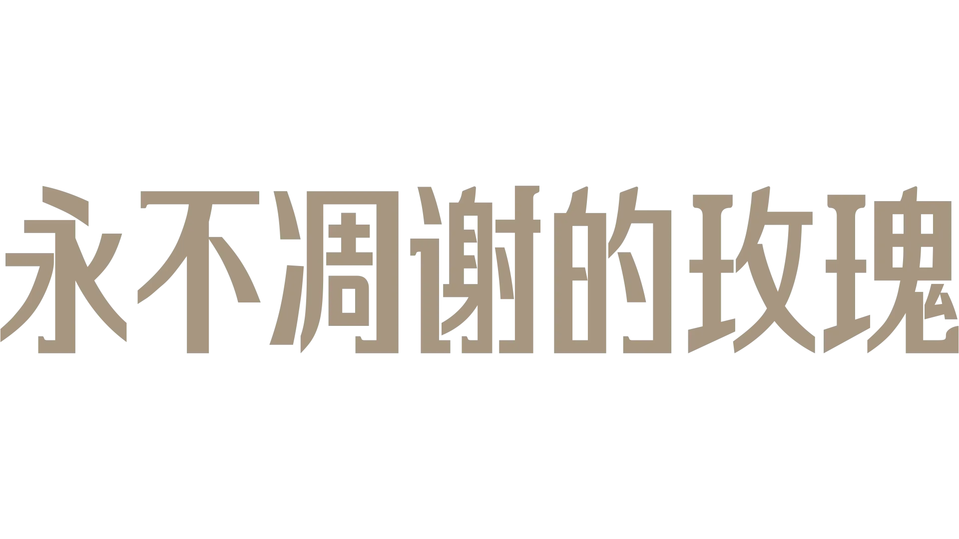 永不凋谢的玫瑰