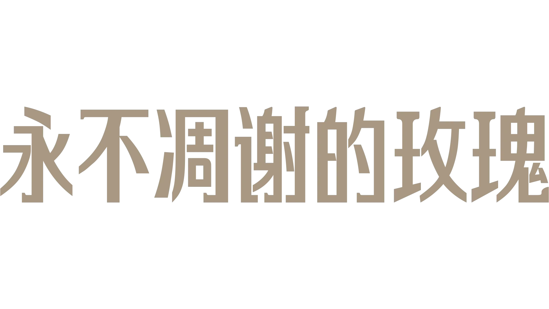 永不凋谢的玫瑰