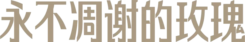 永不凋谢的玫瑰