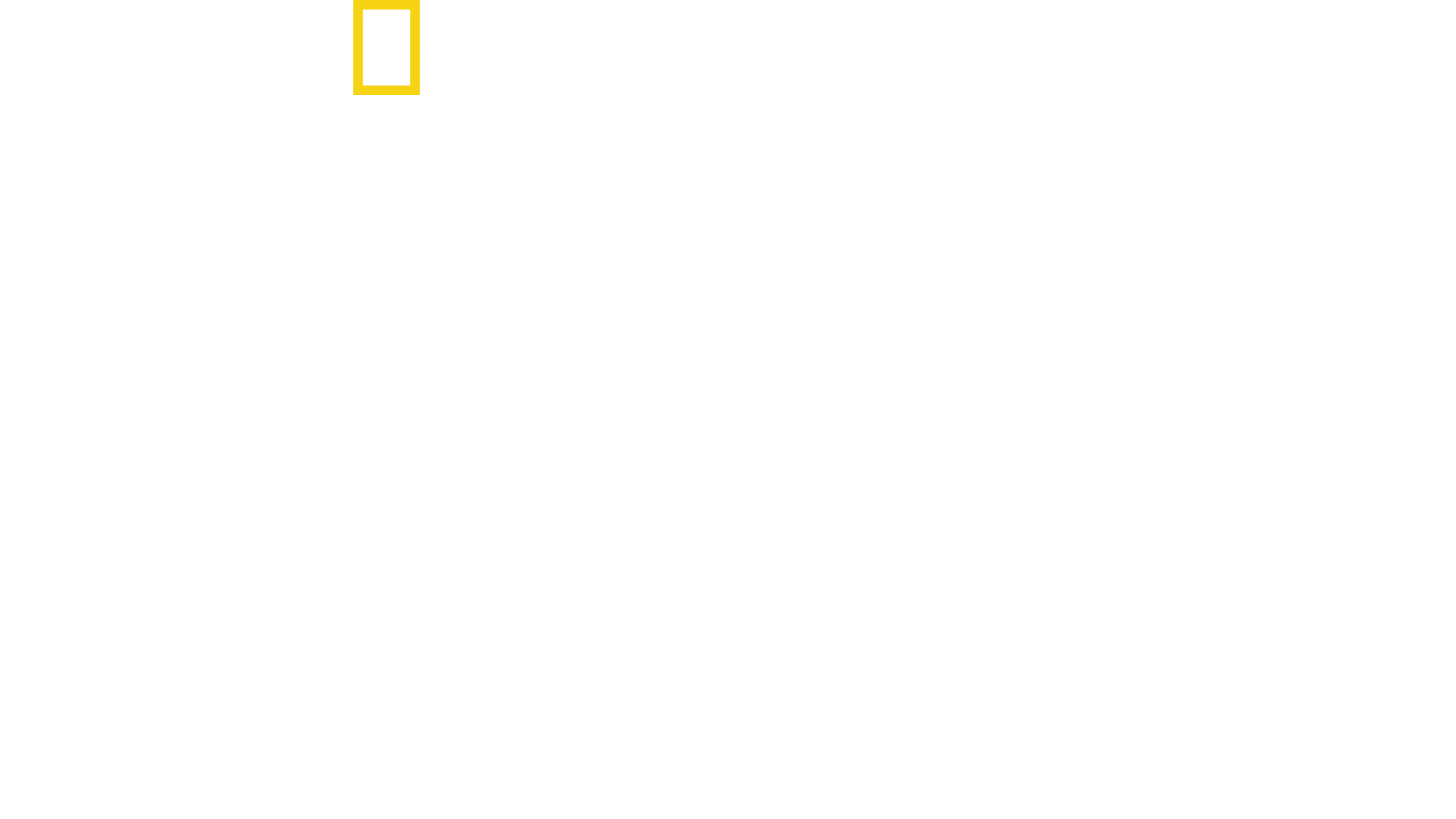 Rekin kontra waleń