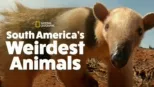 thumbnail - South America's Weirdest Animals