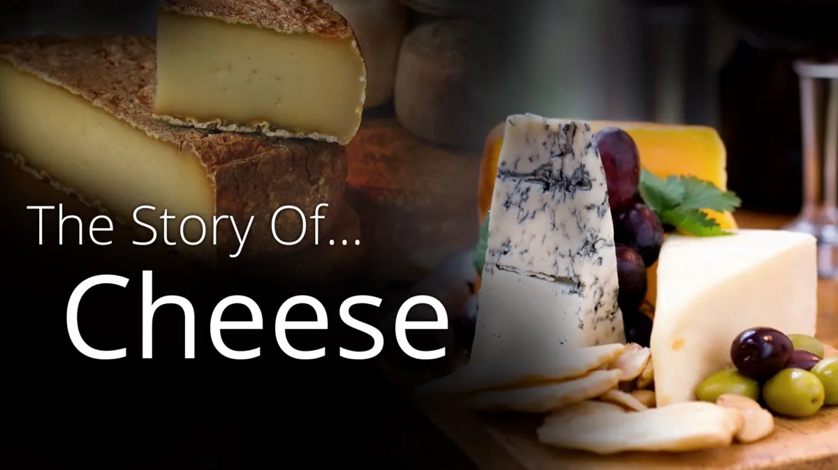 その他 Story of Cheese [DVD] Story of Cheese [DVD] 【公式通販】