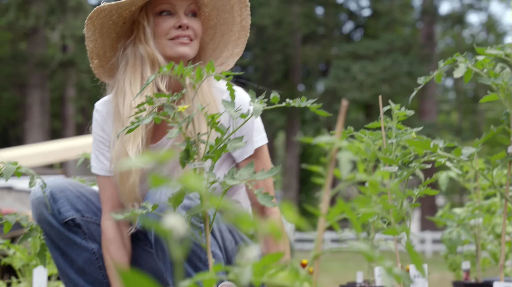 thumbnail - S2:E7 Heart of the Property