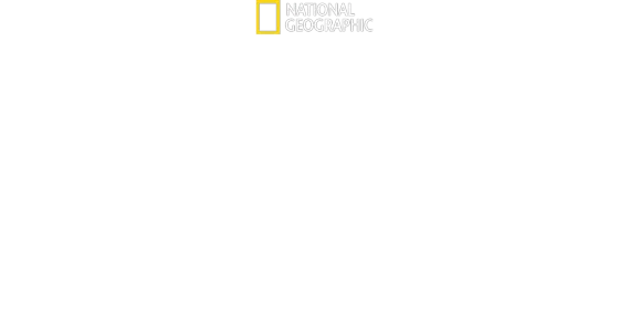 Kúzlo zábavného parku Disney's Animal Kingdom