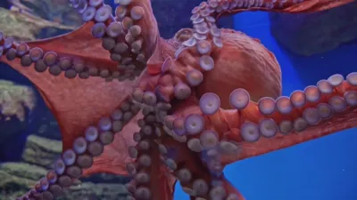 thumbnail - S4:E13 Swamp Beast Sighting, Martian Conspiracy, and Transparent Mexican Sea Monster