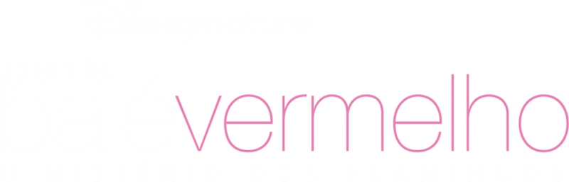 Grande Balé Vermelho - O Mistério dos Flamingos