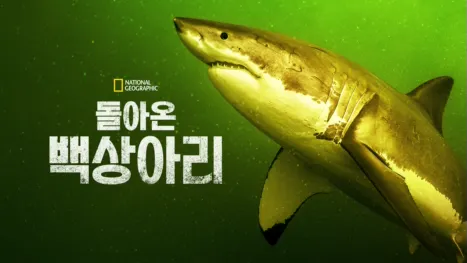 thumbnail - 돌아온 백상아리