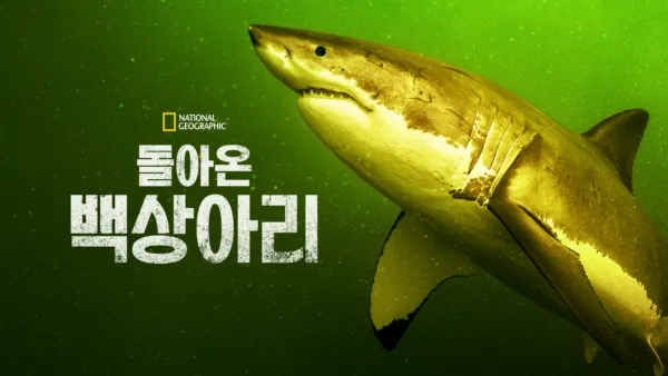 thumbnail - 돌아온 백상아리