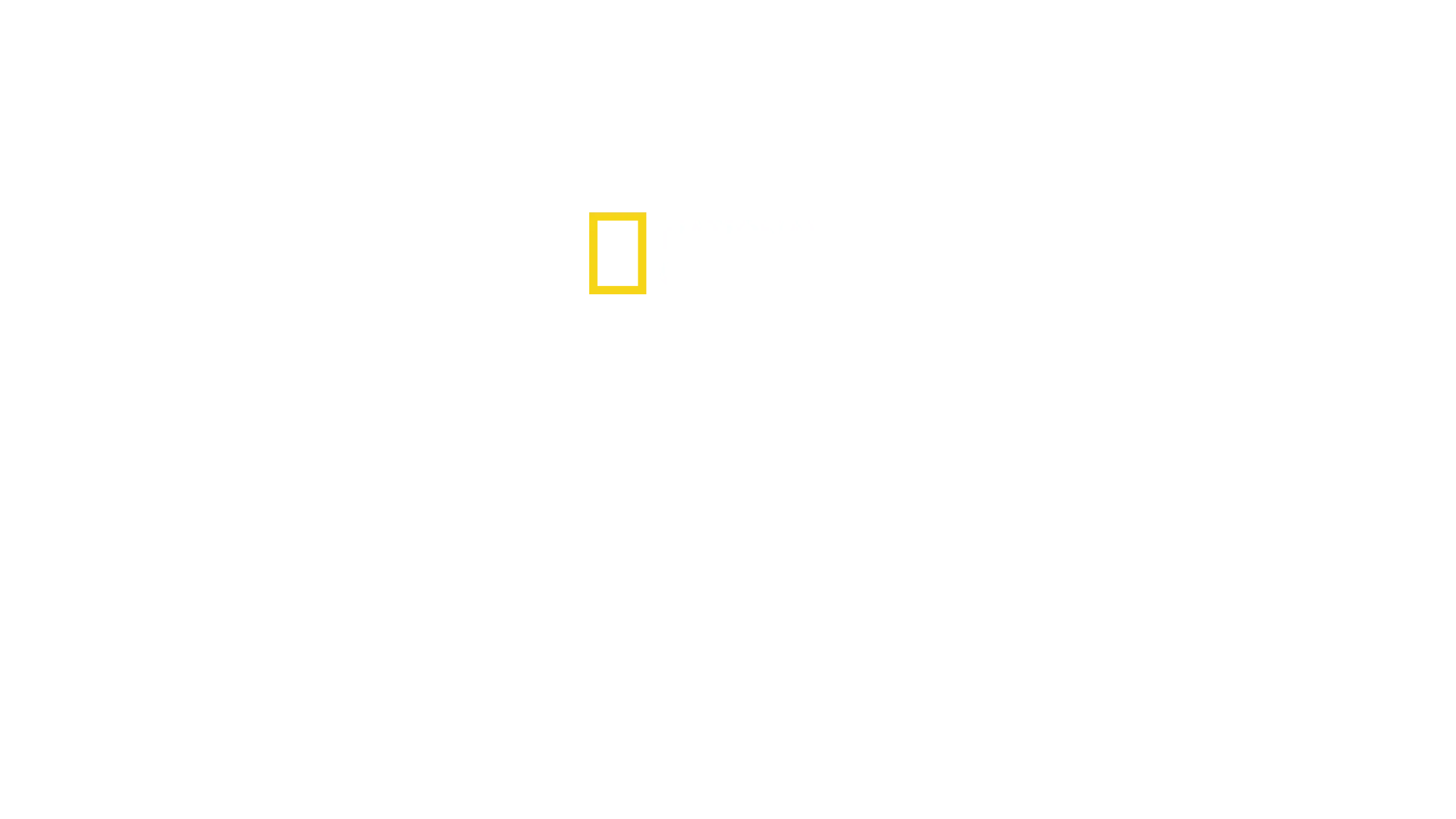Natsien jättimäiset rakennusurakat