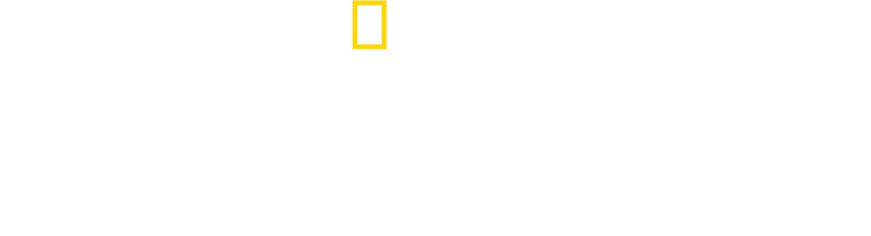 Natsien jättimäiset rakennusurakat