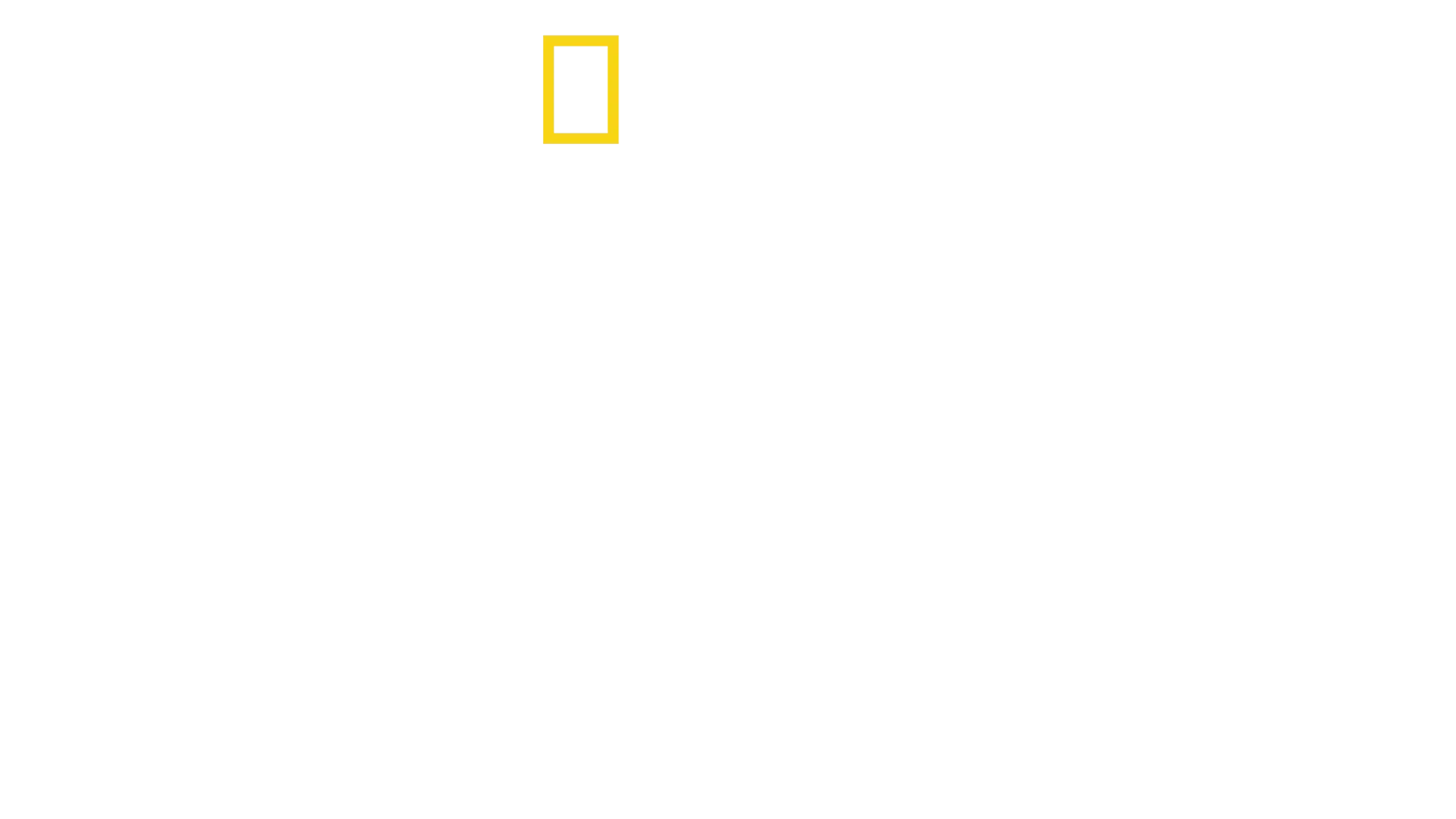 Ο Τούτσι στην Ιταλία