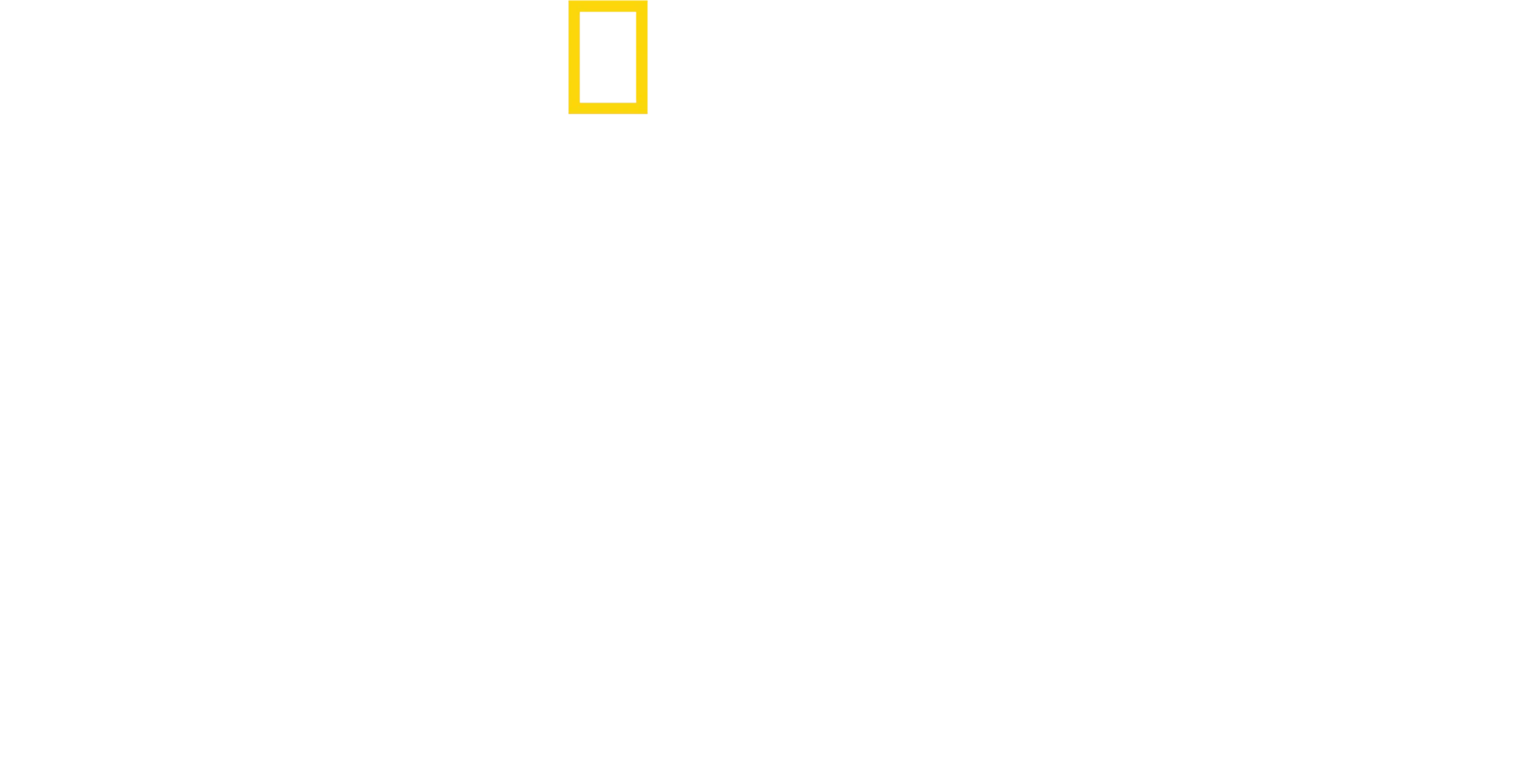 Ο Τούτσι στην Ιταλία