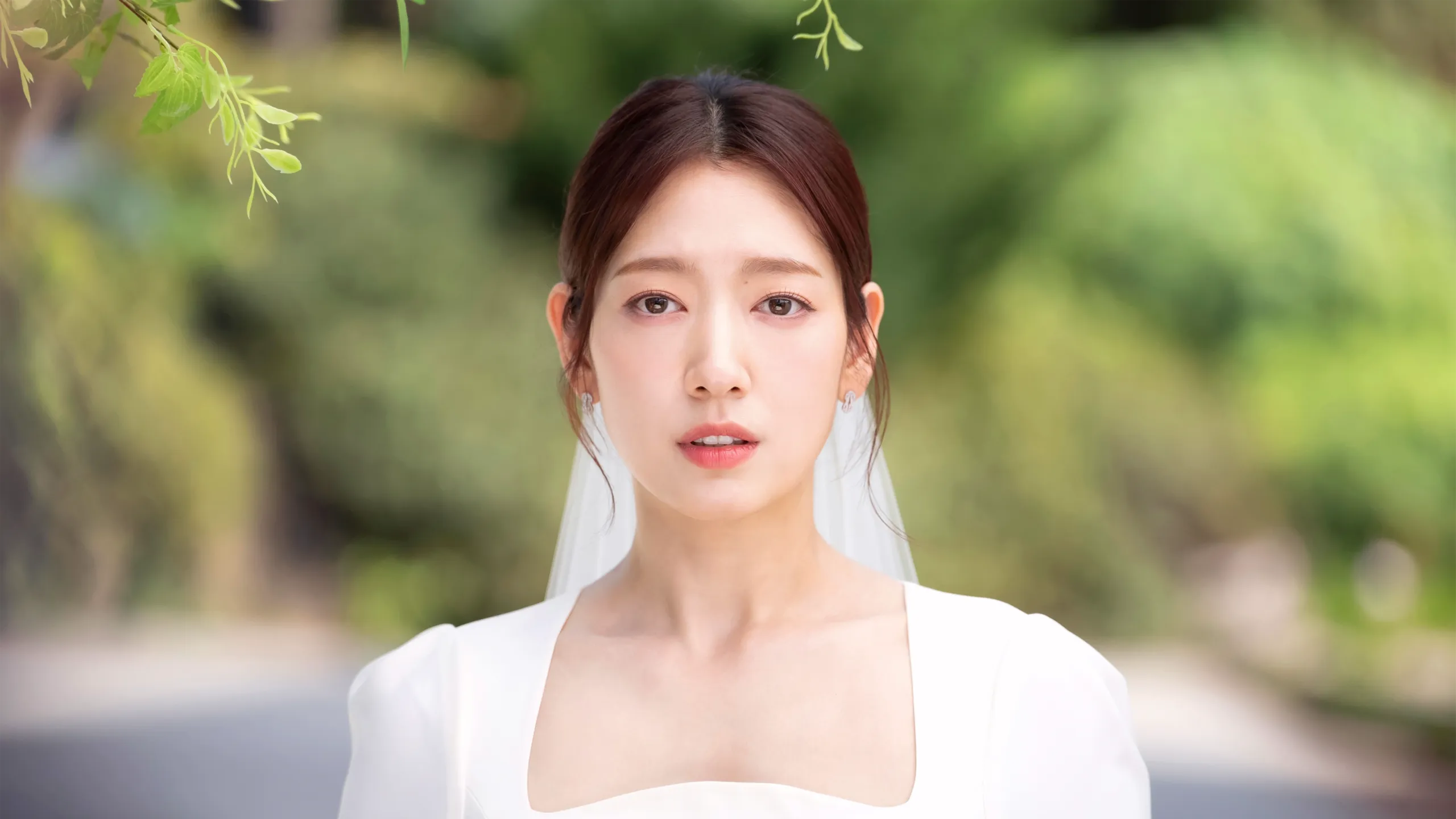 thumbnail - S1：第12話「第12話」