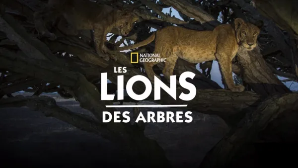 thumbnail - Les lions des arbres