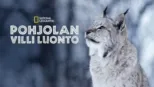thumbnail - Pohjolan villi luonto