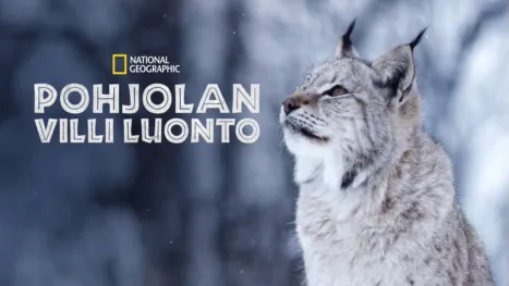 thumbnail - Pohjolan villi luonto