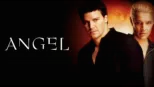 thumbnail - Angel