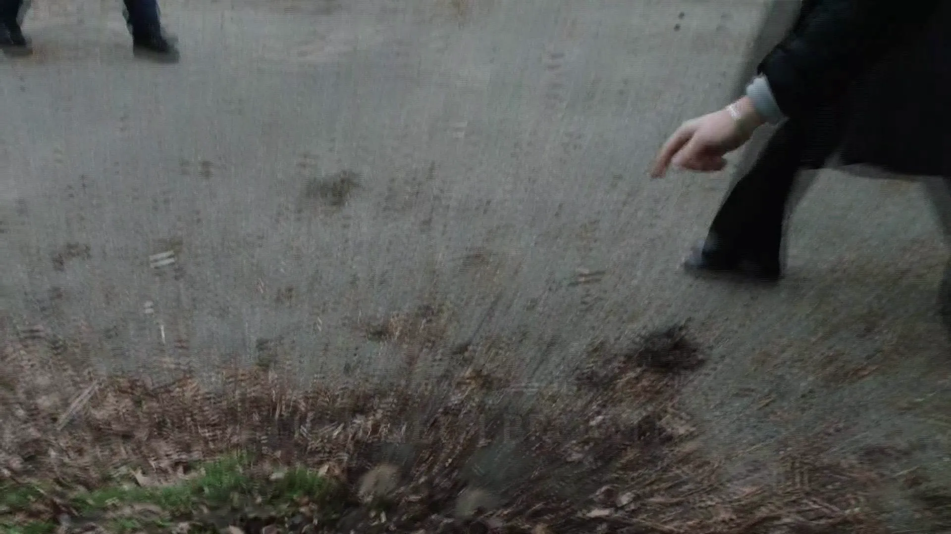 thumbnail - S25:E9 Children of Wolves