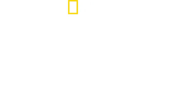 Dövüş Kulübü
