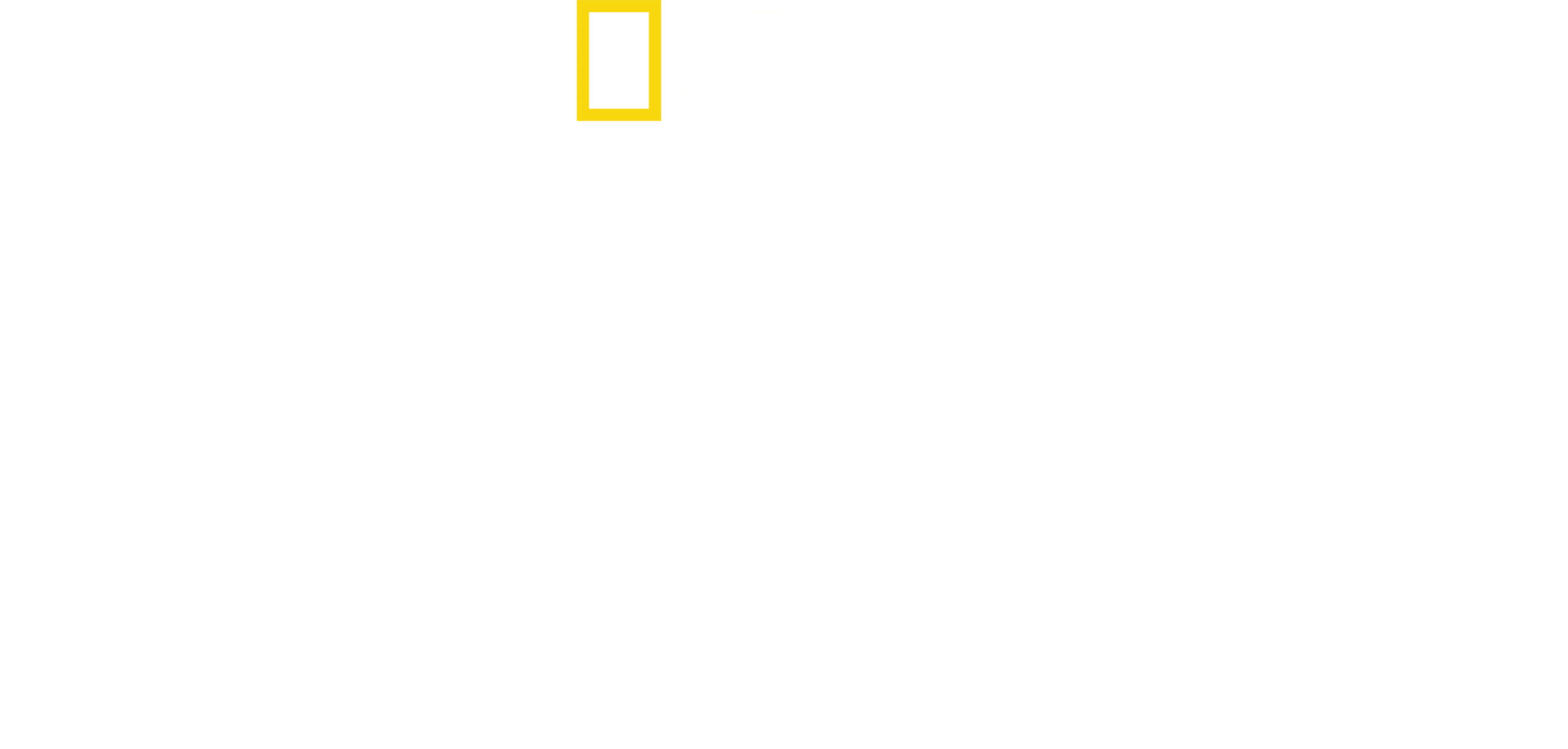 Dövüş Kulübü
