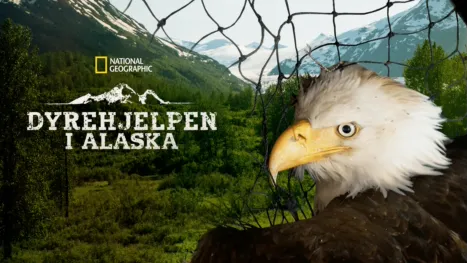 thumbnail - Alaska Animal Rescue