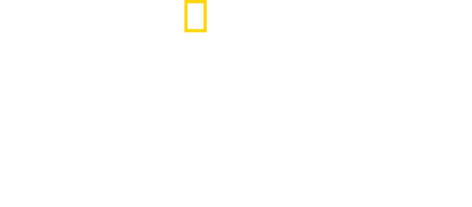 Nuestros Orígenes