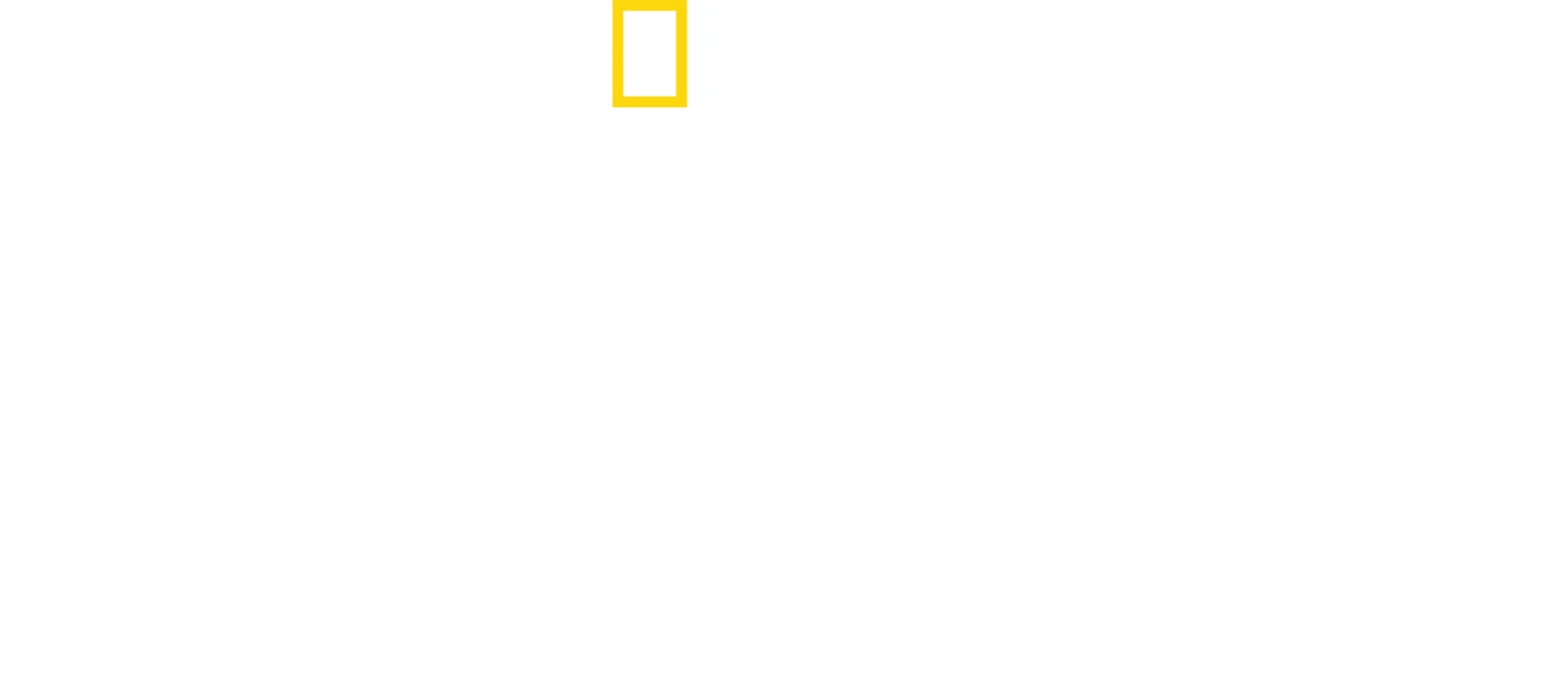 Nuestros Orígenes