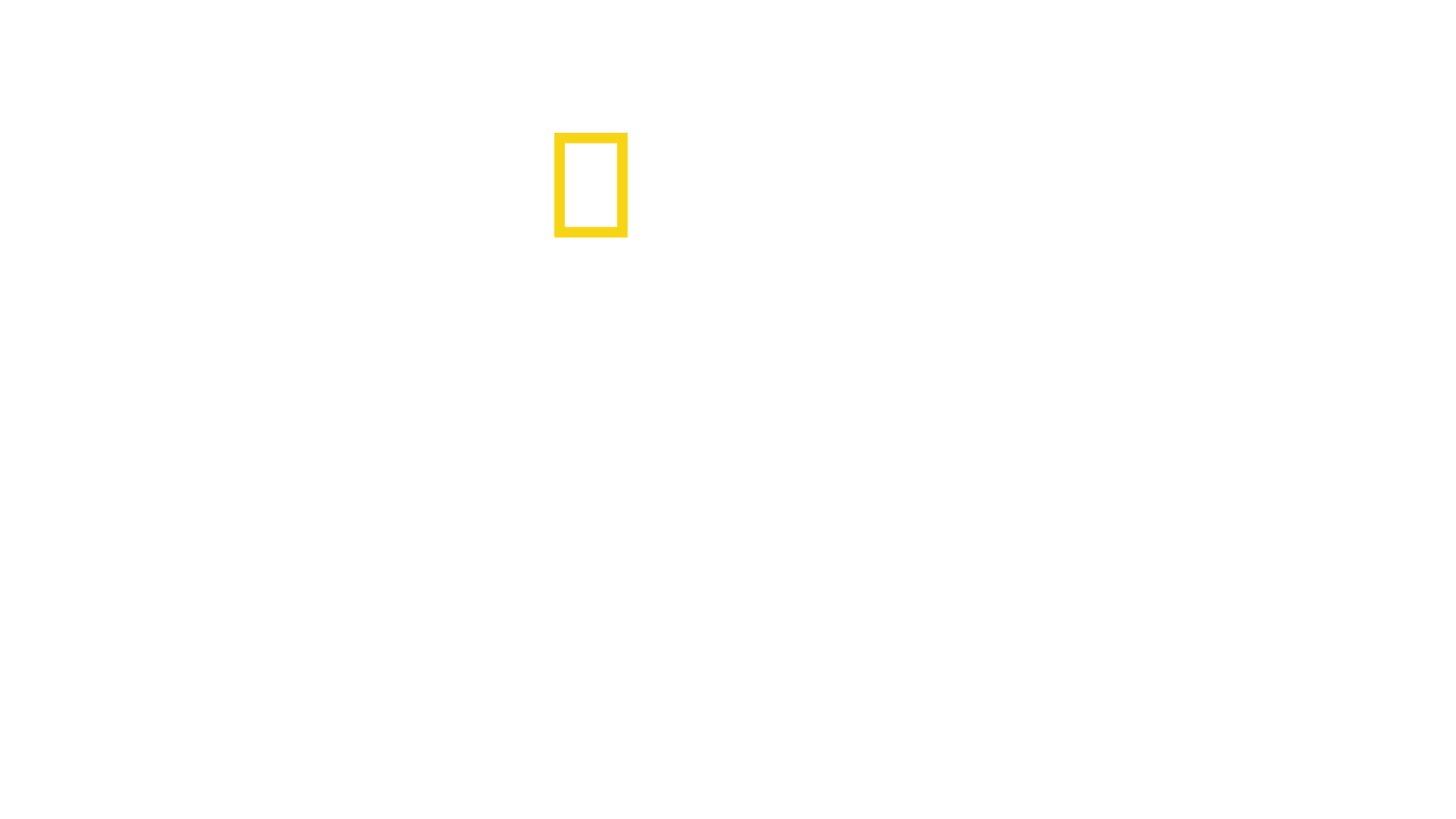 Port w Hamburgu