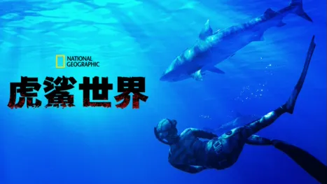 thumbnail - 虎鯊世界