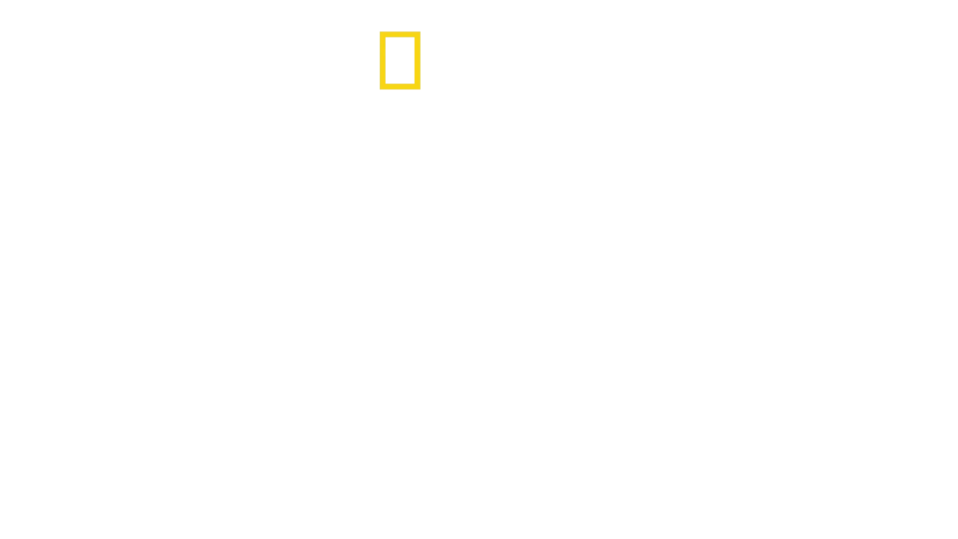 Expedição Amazônia
