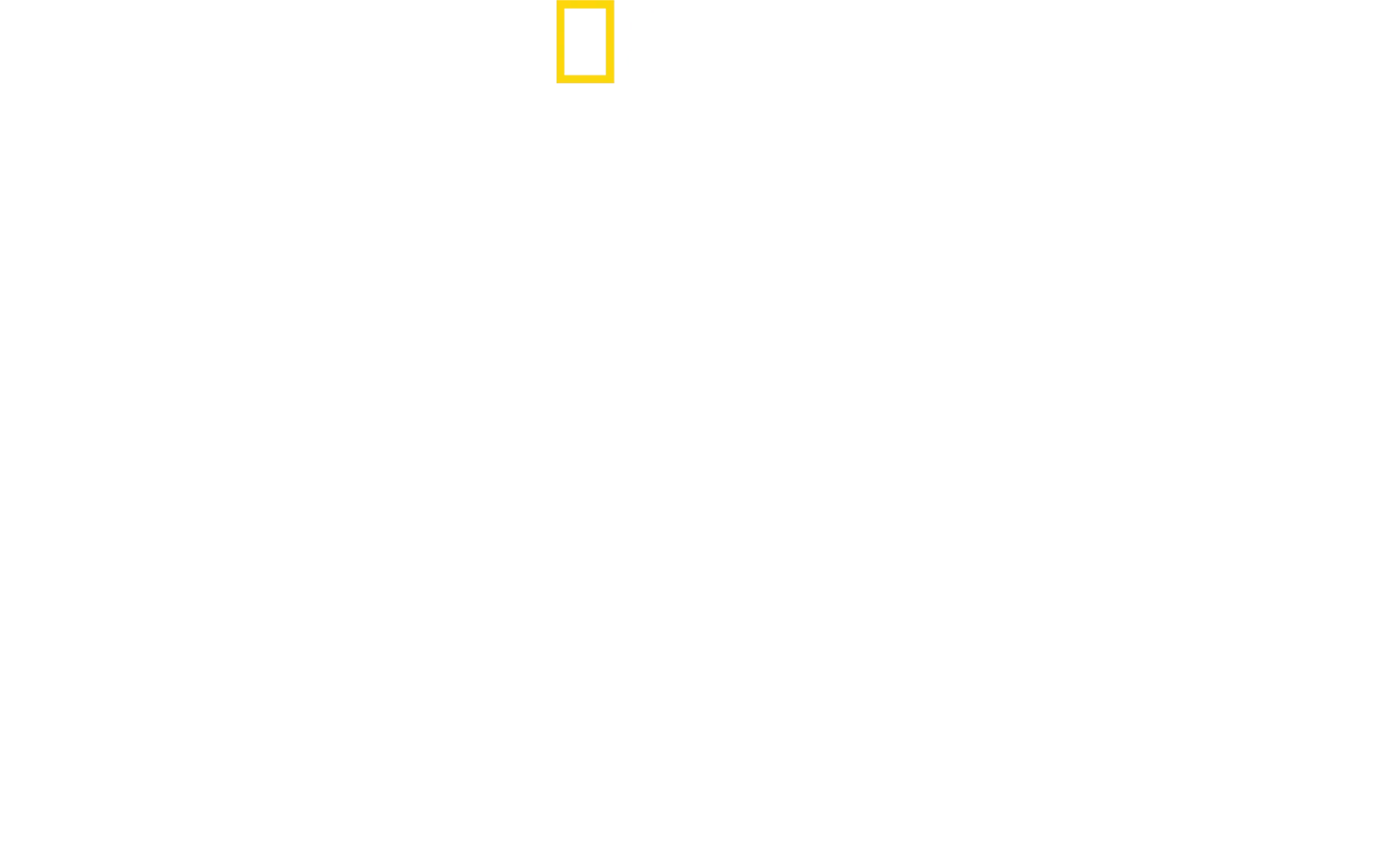 Sharks Up Close with Bertie Gregory