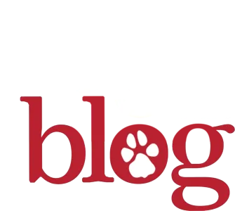 Dog with a blog
