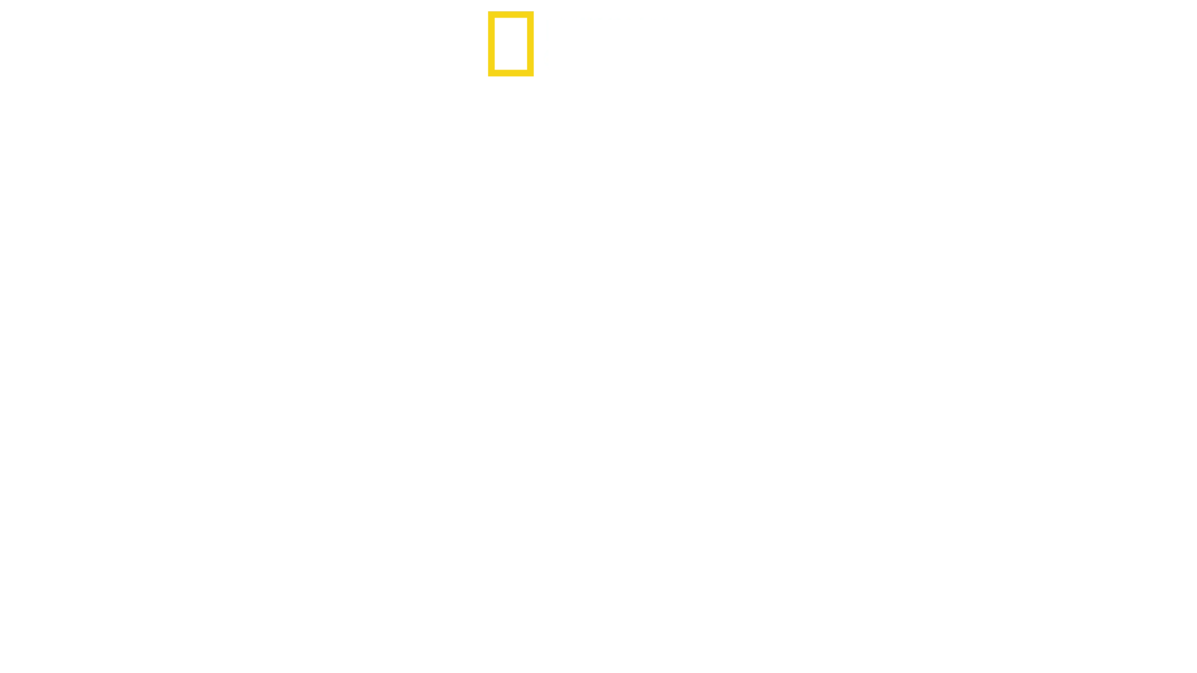 Sky Sharks