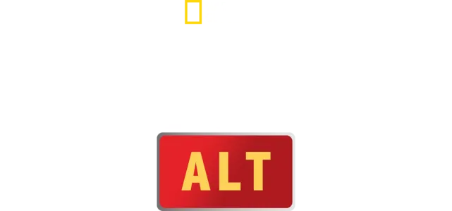 Hvordan vinne i alt