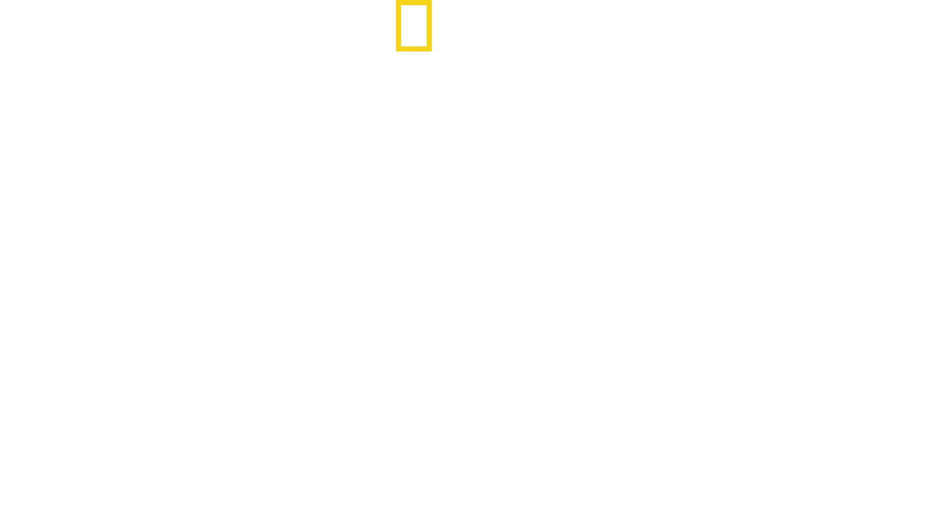 Positive Energy